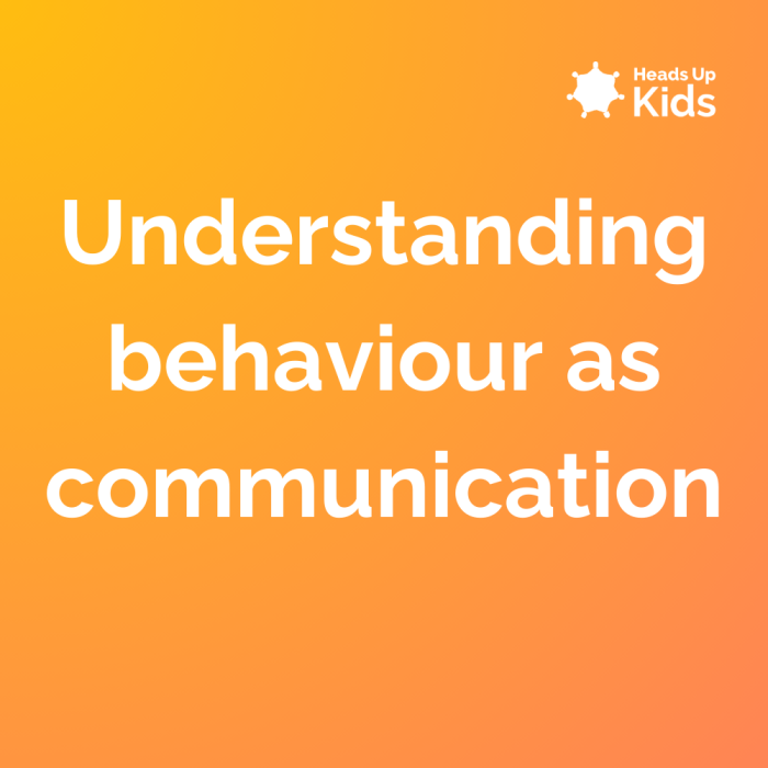 Understanding behaviour as communication