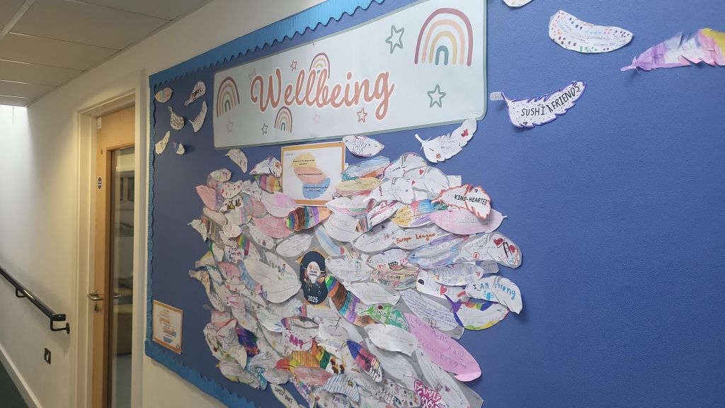 feather display board