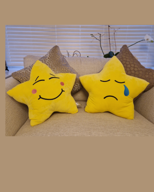 Large Sebby Star Cushion